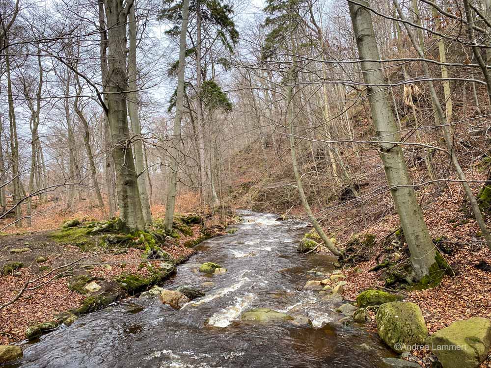 Harz, wandern im Ilsetal, Brocken, Ilsefälle