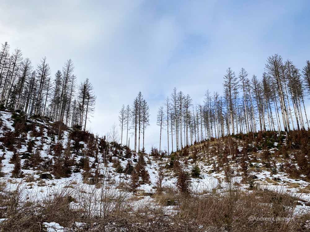 Harz, wandern im Ilsetal, Brocken, Ilsefälle