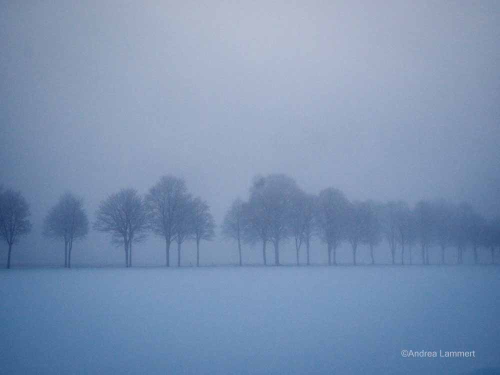 Winter Calenberger Land