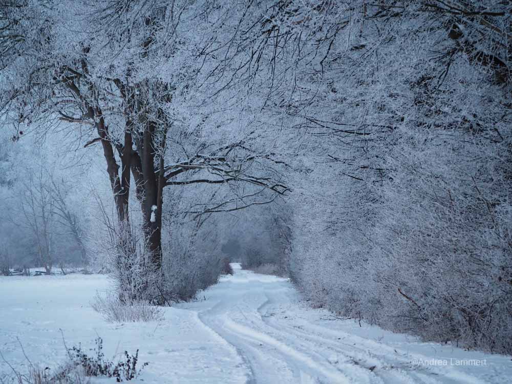 Winter Calenberger Land