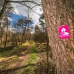 NRW Wandern, Hohe-Mark-Steig