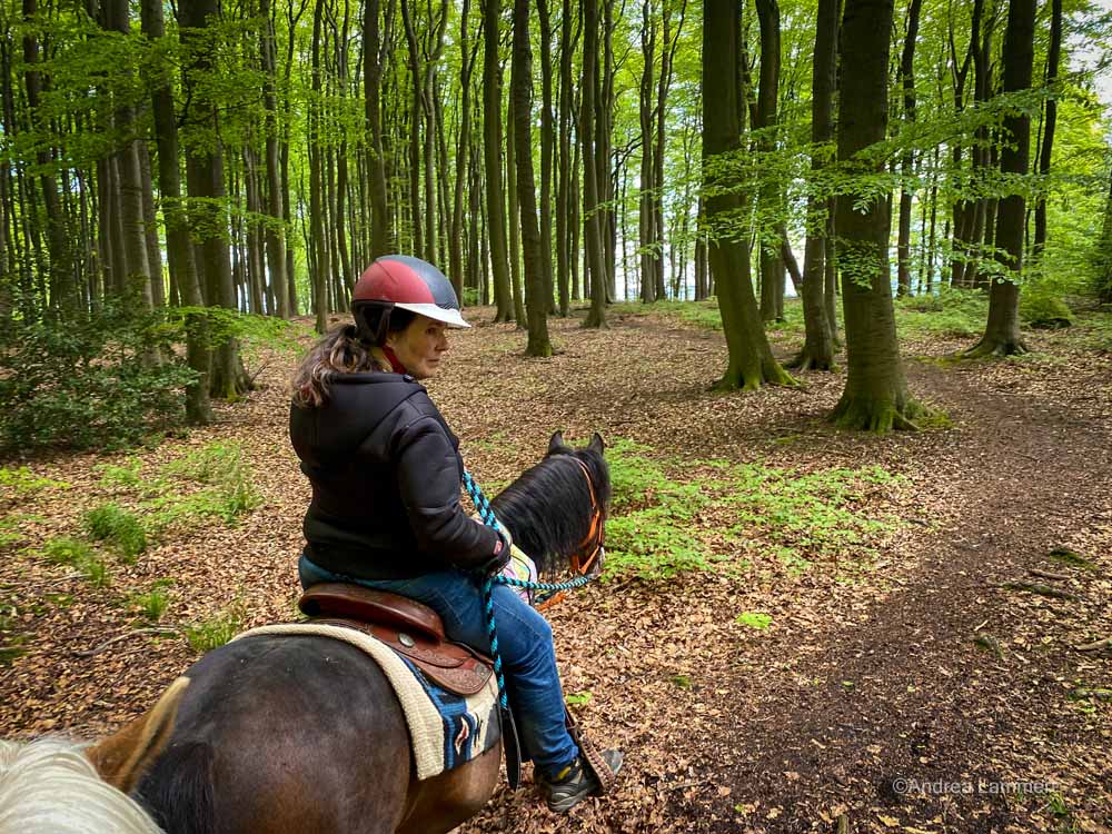 Reiten im Deister, Steinkrug Bredenbeck