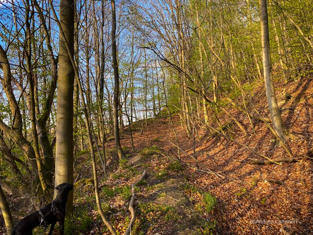 Hannover, Deister, Wandern, Osterwald, Calenberger Land