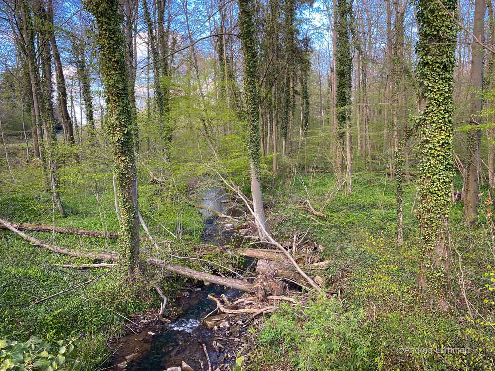 Hannover, Deister, Wandern, Osterwald, Calenberger Land