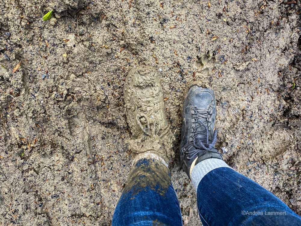 Hannover, Deister, Wandern, Osterwald, Calenberger Land