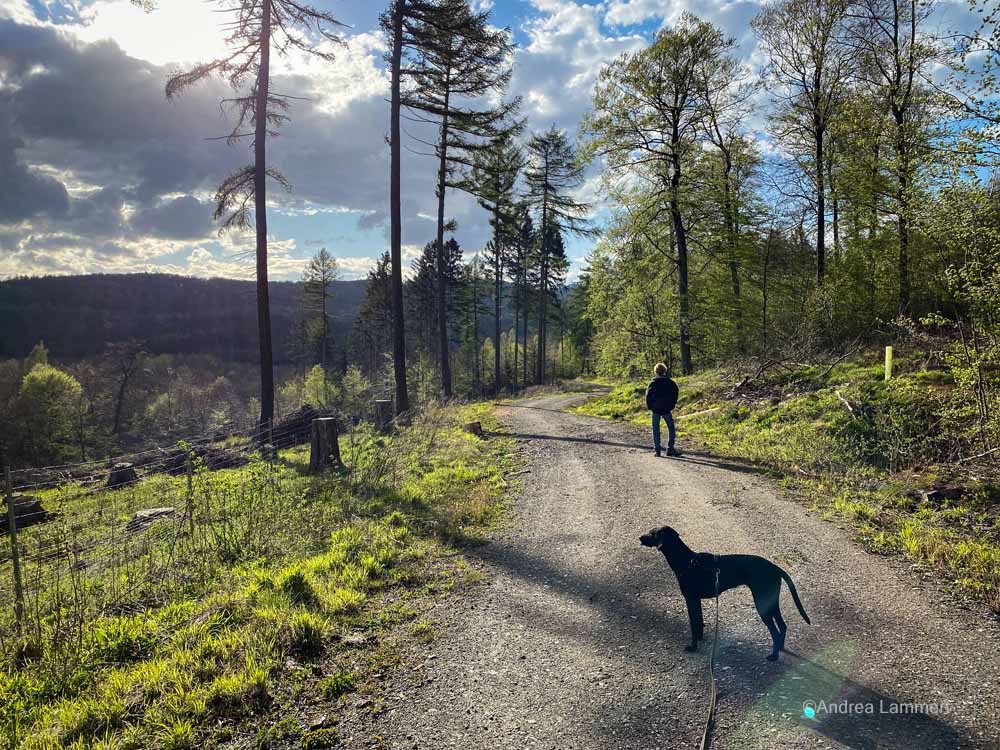 Hannover, Deister, Wandern, Osterwald, Calenberger Land