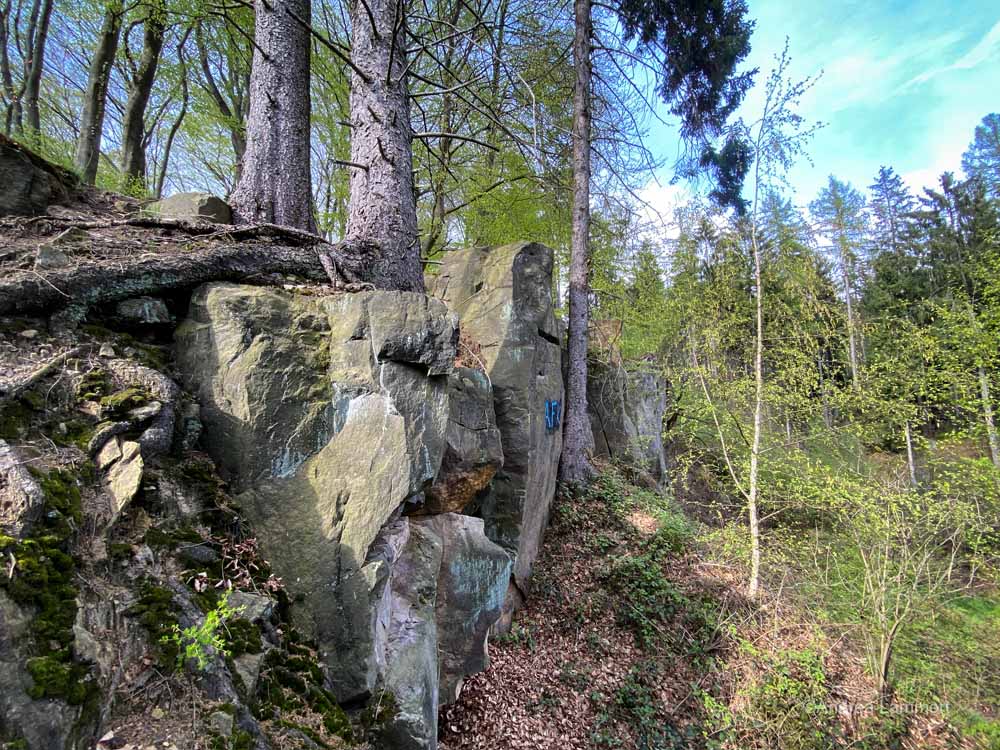 Wanderung zur Kukesburg, Altenhagen, Springe