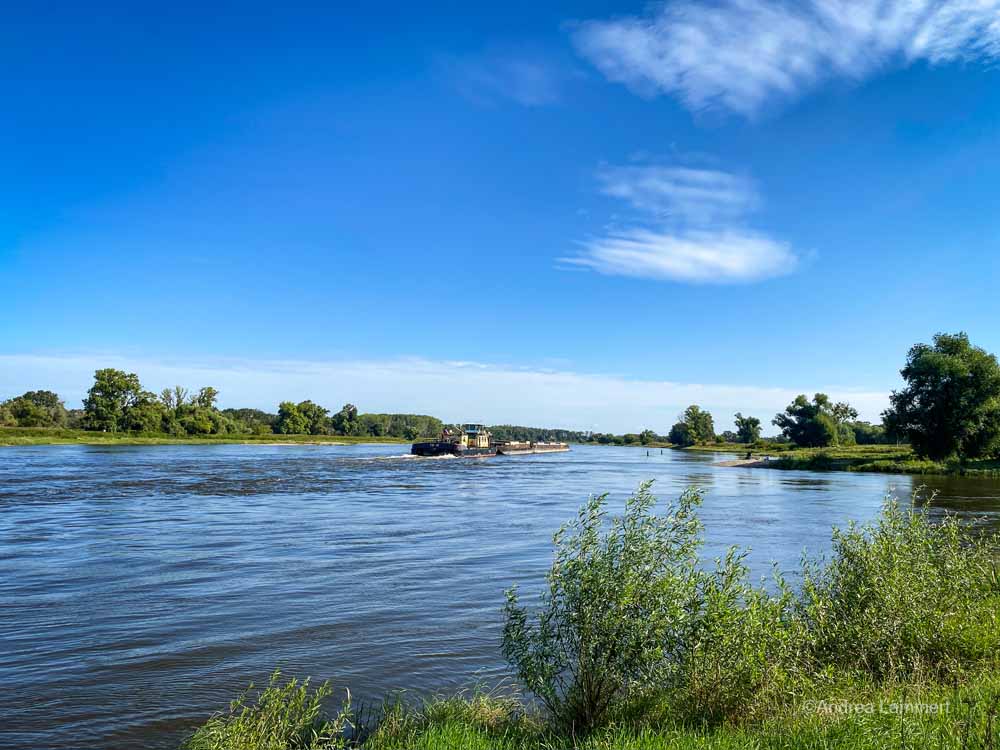 Auf der Elbe