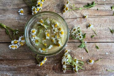 Oxymel selbst machen