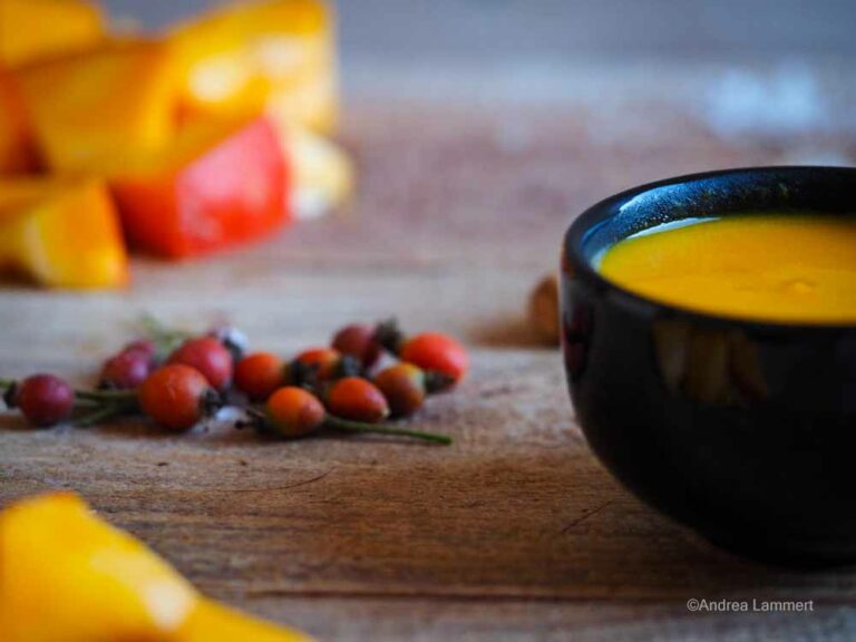 Kürbissuppe vegan I mit Kokosmilch I Rezept I indigo-blau.de