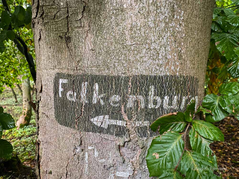 Teutoburger Wald, Tipps, Falkenburg