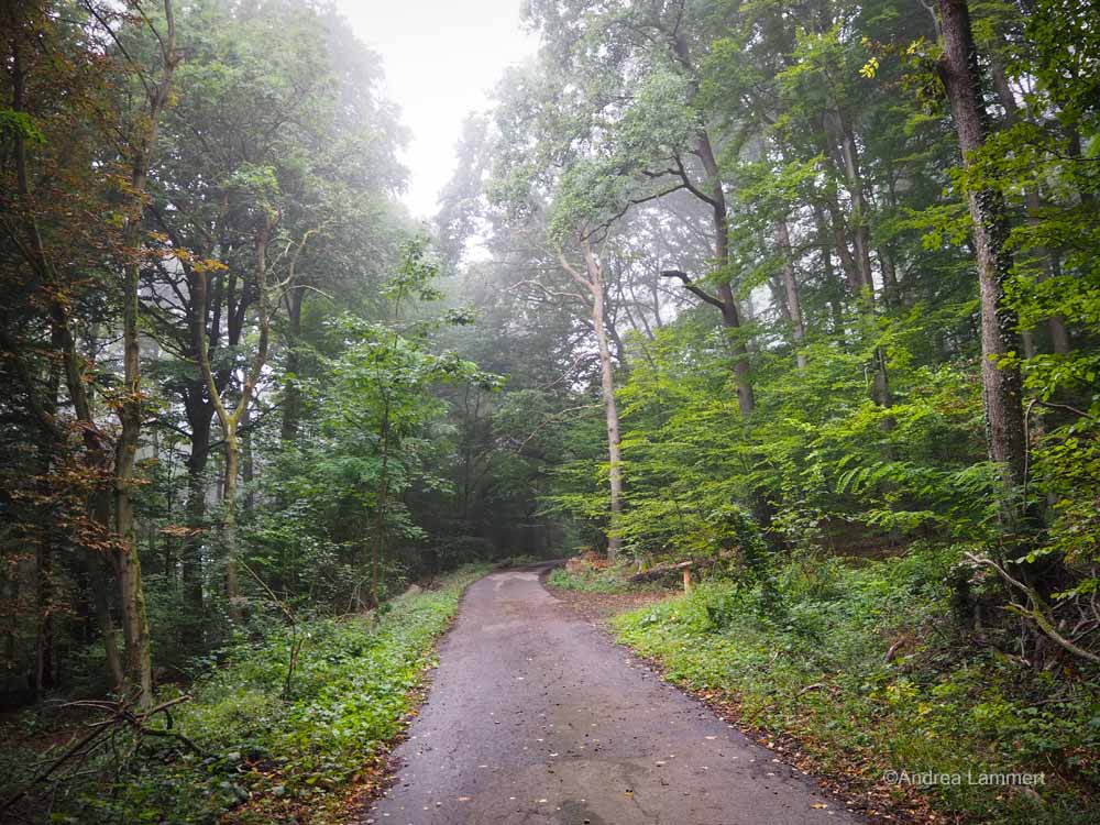 Waldbaden Kalletal