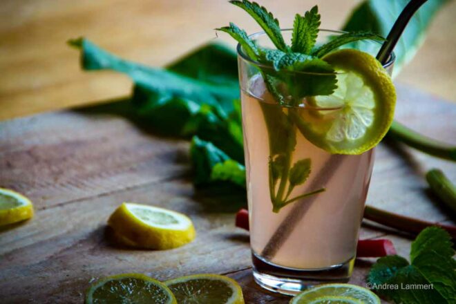 Rharbarbersaft selbst gemacht, Rezept, ohne Entsafter