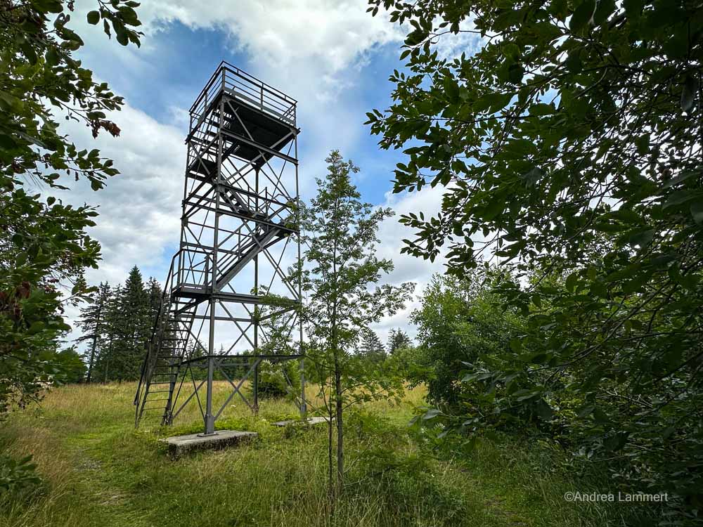 Harz, Schalter Aussichtsurm, Wanderung