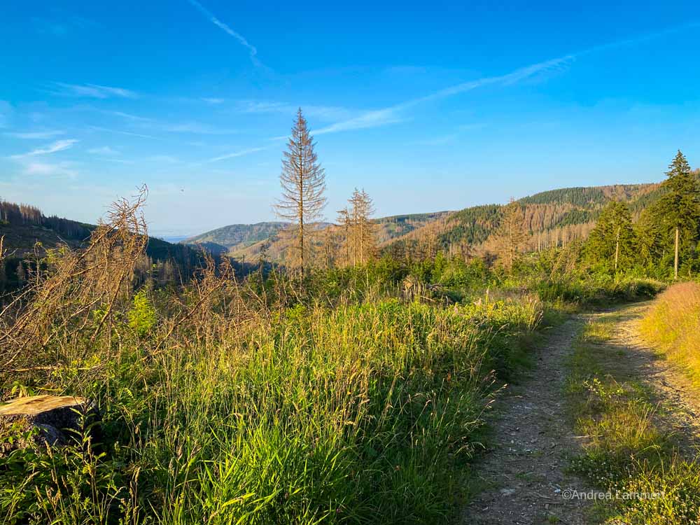 Harz, Schalter Aussichtsurm, Wanderung