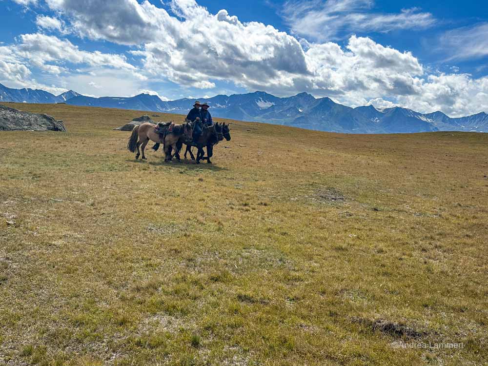Wanderreiten im Altai, Mongolei, Ölgii