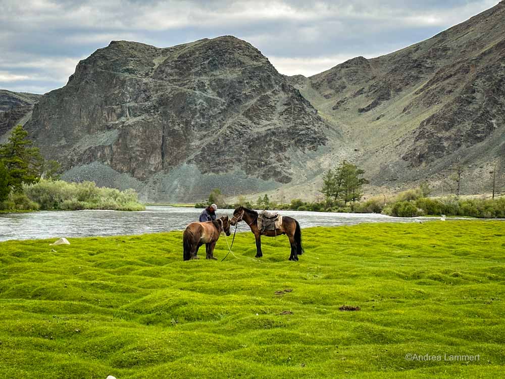 Wanderreiten im Altai, Mongolei, Ölgii