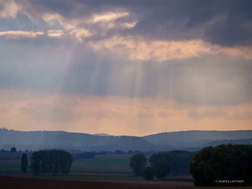 Wasserbaum Ockensen - Wandern im Ith, hier Abendstimmung.