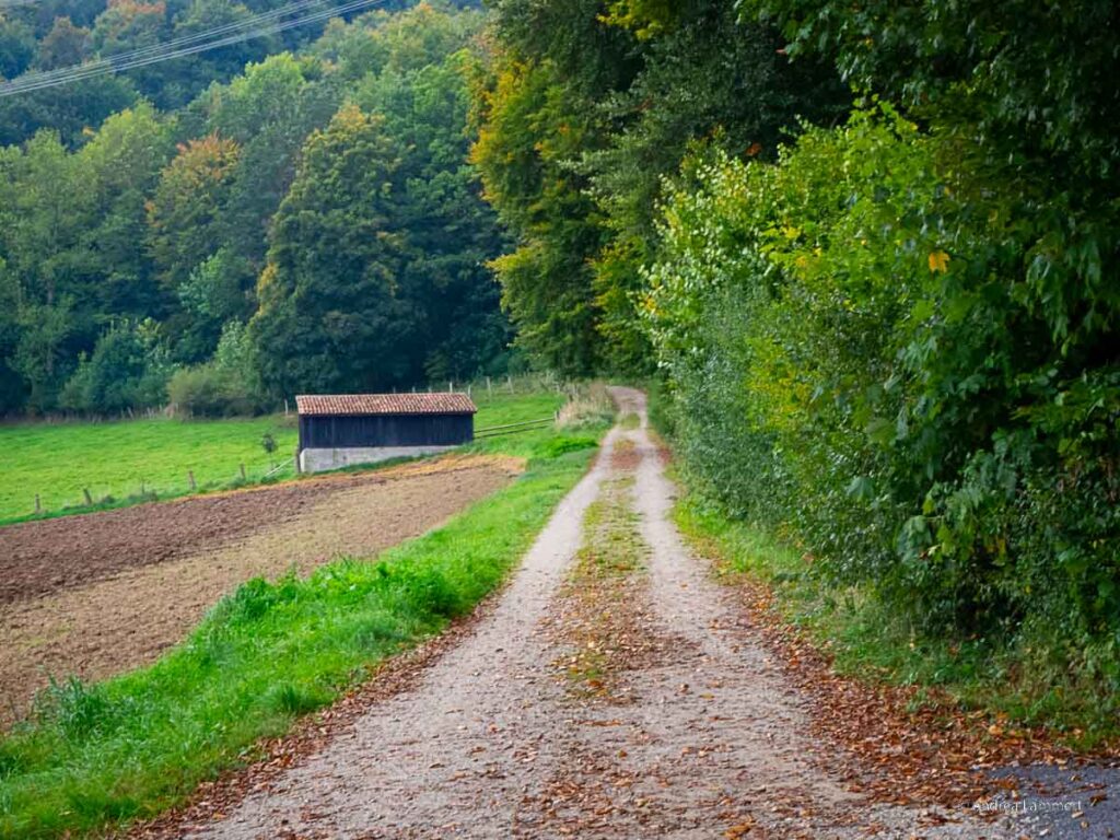 Wasserbaum Ockensen - Wandern im Ith, hier Ockensen