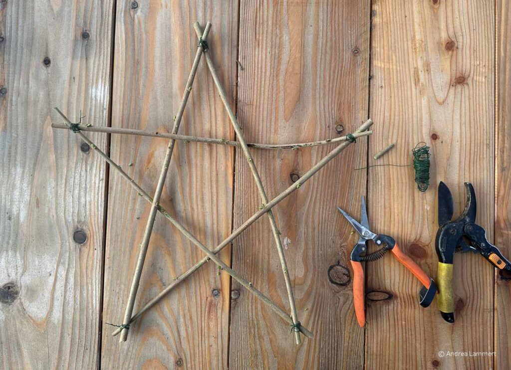 Weihnachtsstern aus Zweigen basteln. DIY, Anleitung, Schritt für Schritt, Step by Step