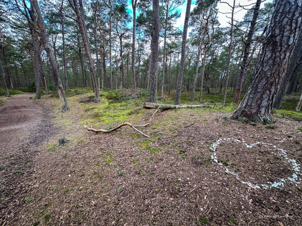 Fischland-Darss-Zingst-tipps