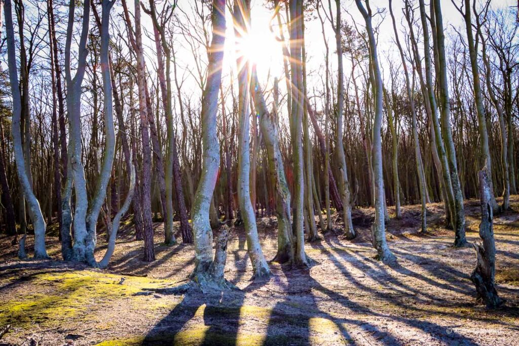 Fischland-Darss-Zingst-tipps