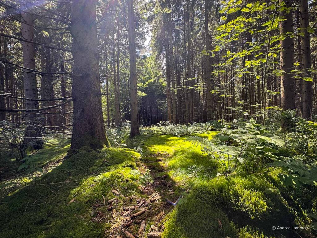 Schulenberg/ Oberharz - Sehenswürdigkeiten
