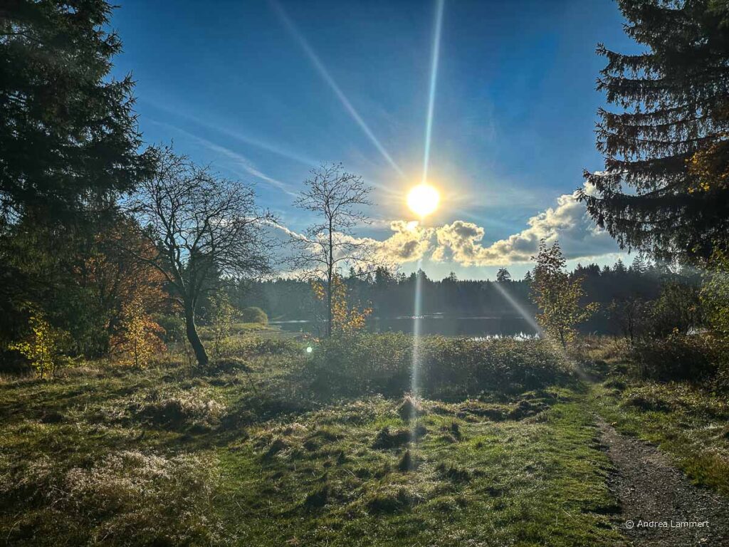 Schulenberg/ Oberharz - Sehenswürdigkeiten