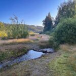 Schulenberg/ Oberharz - Sehenswürdigkeiten