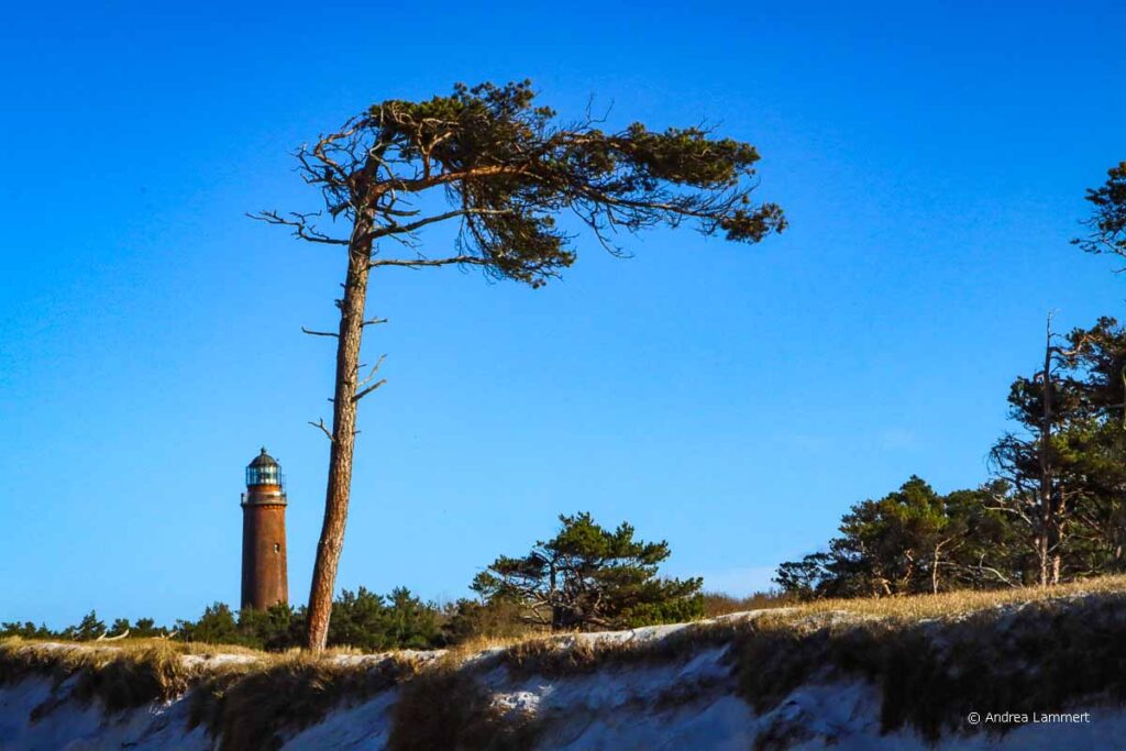 Fischland-Darss-Zingst-tipps