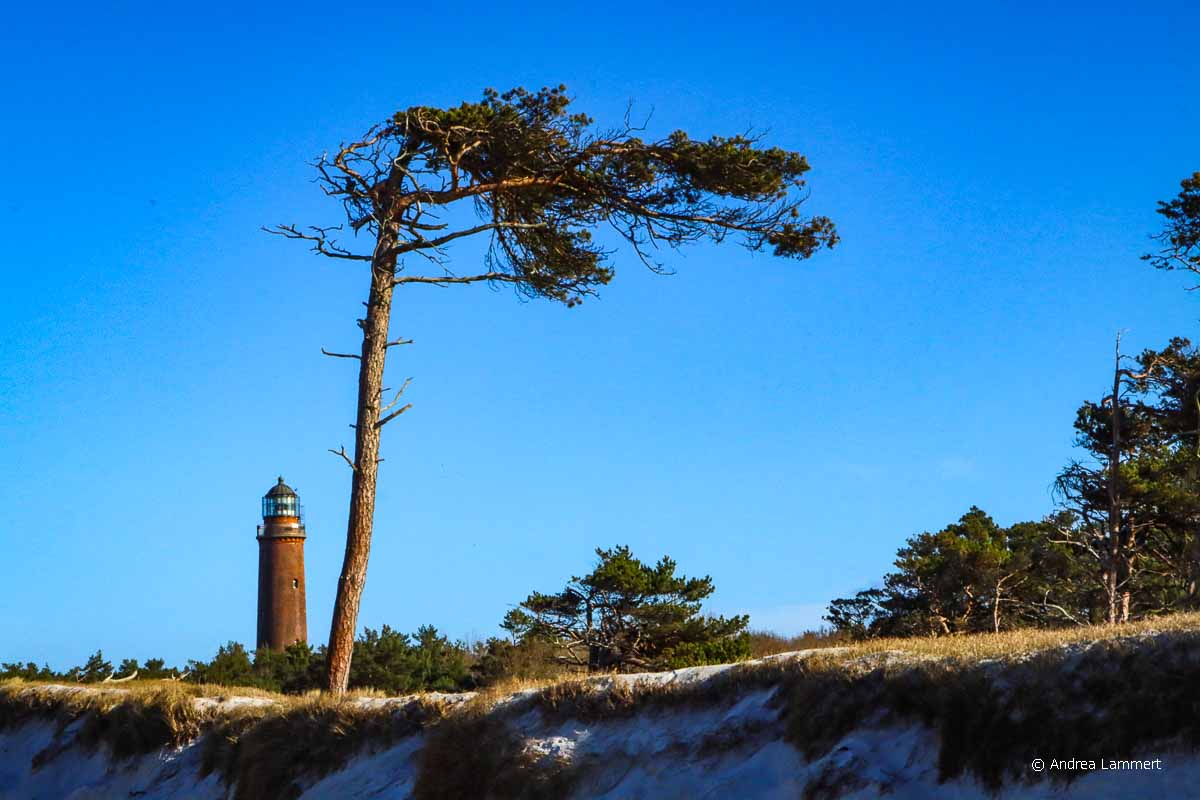 Fischland-Darss-Zingst-tipps