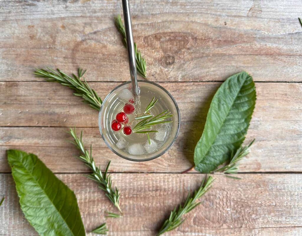 Rezept für selbstgemachte Limonade aus Kirschblättern und Rosmarin
