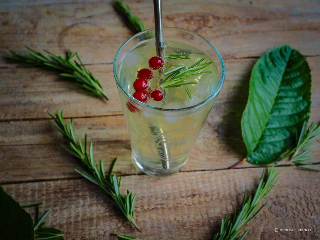 Rezept für selbstgemachte Limonade aus Kirschblättern und Rosmarin