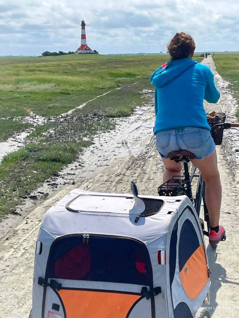 Highlights Sankt Peter-Ording Sehenswürdigkeiten