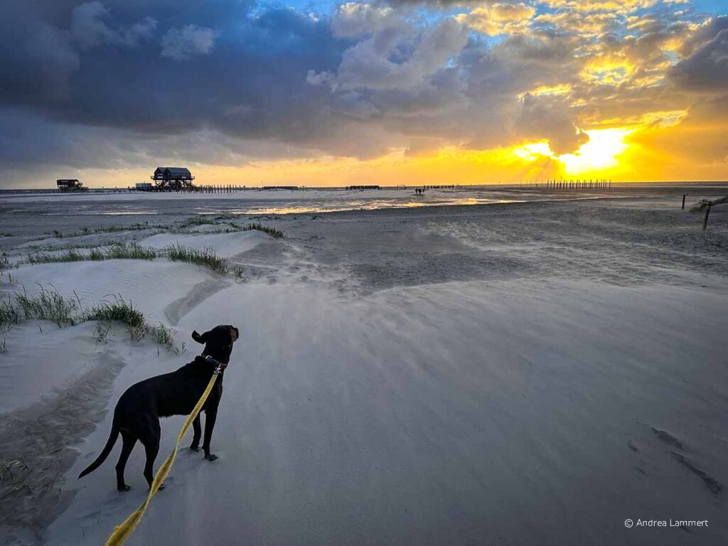 Highlights Sankt Peter-Ording Sehenswürdigkeiten