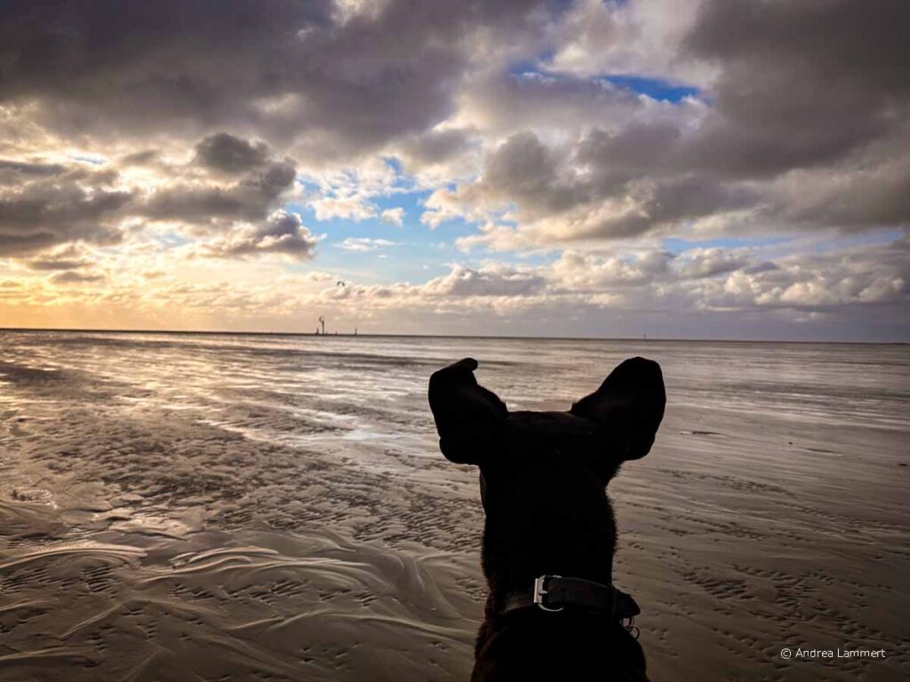 Highlights Sankt Peter-Ording Sehenswürdigkeiten