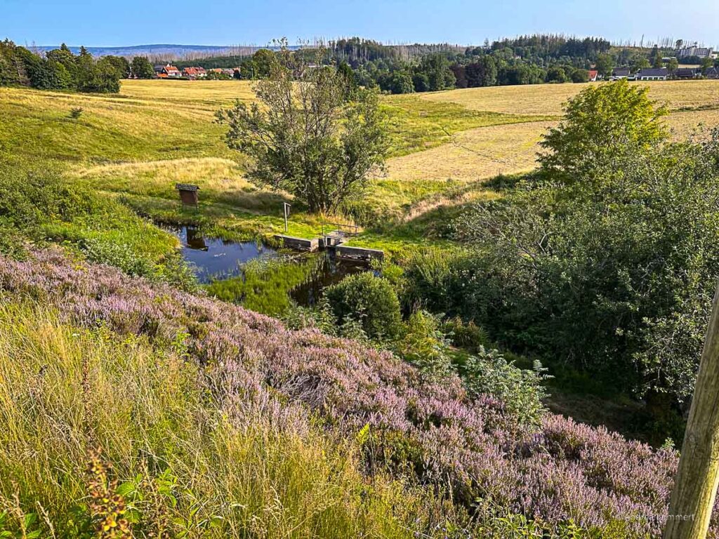 Badeteich im Harz, hier Hasenbacher Teich.