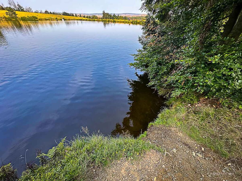 Badeteich im Harz, hier Hasenbacher Teich.