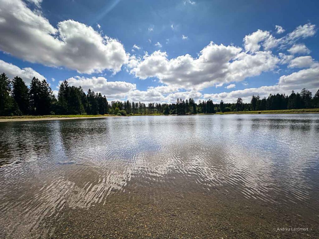 Badeteich im Harz, hier Kiefernhölzer Teich.