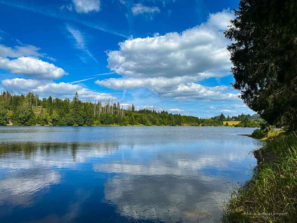 Badeseen im Harz, Prinzenteich, Schwimmen im Harz