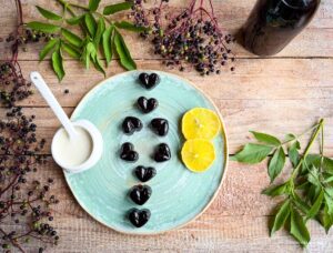 Wackelpudding Holunder Rezept ohne Gelatine