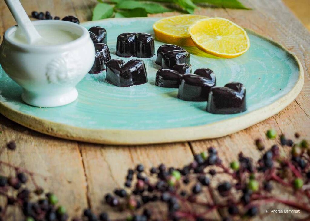 Wackelpudding Holunder Rezept ohne Gelatine